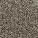 Ковролин Radici Admiral Fawn 20  | FLOORDEALER